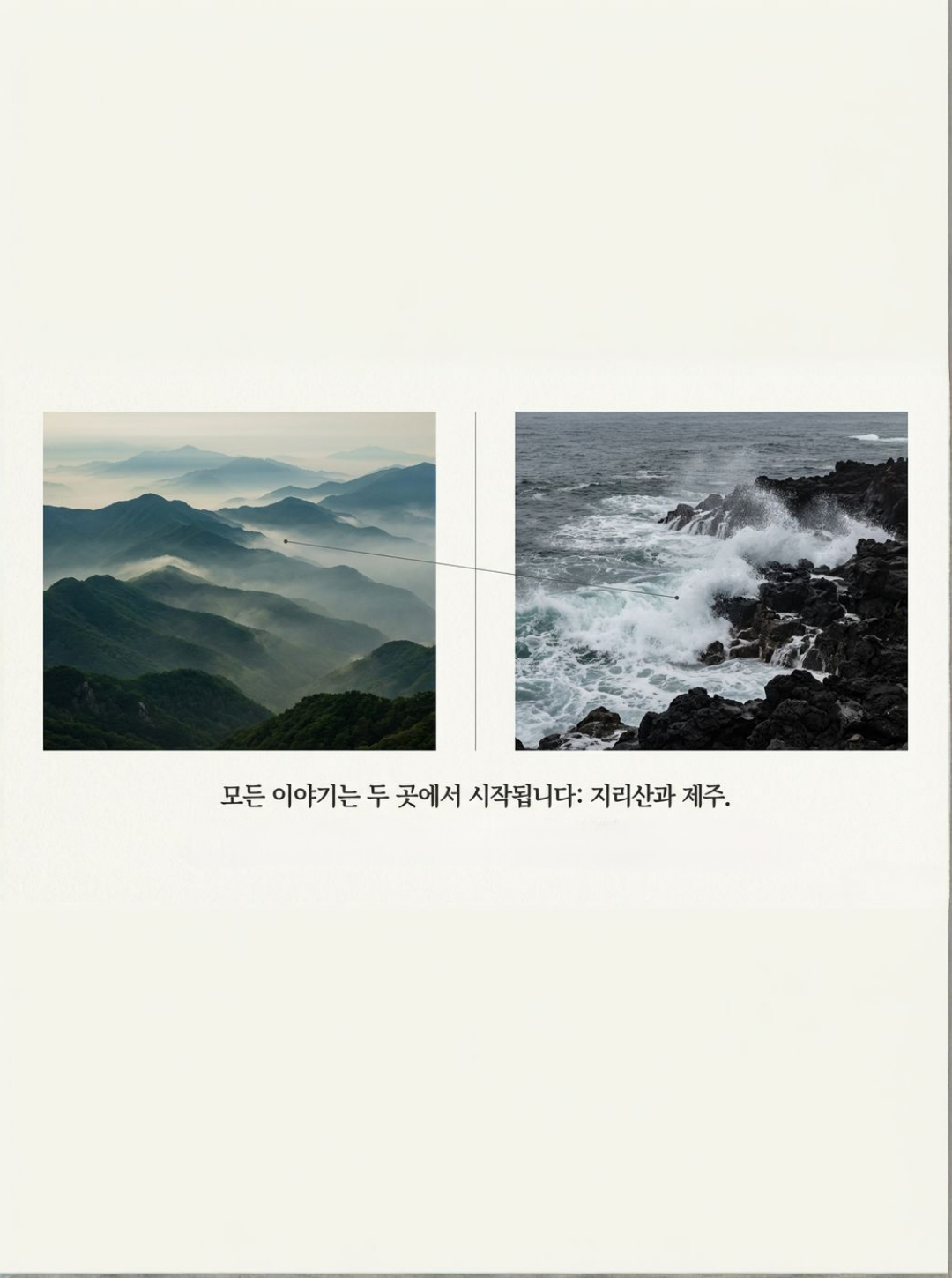 태조식품 소개 2